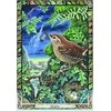 The Celtic Tree Oracle kortos Welbeck Publishing