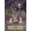 The Herbal Astrology Pocket Oracle Taro kortos Hay House