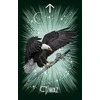 The Witch’s Familiar Runic Oracle Kortos Pocket Hay House