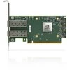Mellanox ConnectX-6 Dx EN adapterio kortelė, 100GbE dviejų prievadų QSFP56, PCIe4.0 x16, be kriptovaliutų