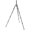 Trikojis - 3 Legged Thing Pro 2.0 Albert 1,82 m 12 cm 30 kg anglies pilkumo