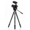 Benro Tortoise 24CLV