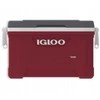 Igloo Latitude Cool box 52 49L, Raudona