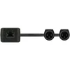 Turtle Av Turtle Dual XLR Output - two-channel Dante digital-to-analogue XLR adapter