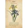 US Games Systems Botanical Inspirations Kortos