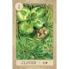 Us Games Systems Fairy Tale Lenormand Kortos Skardinėje Dėžutėje