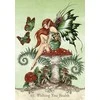 US Games Systems Fairy Wisdom Oracle Kortos Ir Knyga