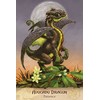 US Games Systems Field Guide To Garden Dragons Taro Kortos
