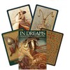 US Games Systems In Dreams Oracle Kortos Ir Knyga