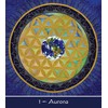 US Games Systems Mother Earth Mandala Oracle Kortos