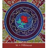 US Games Systems Mother Earth Mandala Oracle Kortos