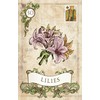 US Games Systems Old Style Lenormand Kortos