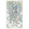 US Games Systems Spiritsong Taro Kortos