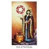 US Games Systems Tarot Of The Cat People Kortos