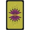 US Games Systems The Secret Oracle Of The Žalias Witch Kortos