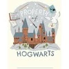 Užrašinė Minkštu Viršeliu - Harry Potter Hedwig Insight Editions