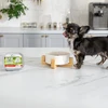 RAW PALEO Pate Mini Puppy jautiena - šlapias maistas šuniukams - 150 g