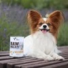 Vetexpert Drėgnas Šunų Maistas - RAW PALEO Monoproteinas Kalakutiena 800g Be Grūdų