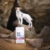 Vetexpert Sausas Šunų Maistas - RAW PALEO Ultra Mini Jautiena 2kg