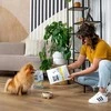 Vetexpert Sausas Šunų Maistas - RAW PALEO Ultra Mini Kalakutienos 2kg Be Grūdų