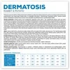 Vetexpert VET EXPERT Veterinary Diet Dermatosis Dog triušiena ir bulvės - dry dog food - 12 kg
