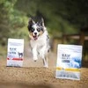 Vetexpert Šunų maistas - RAW PALEO Ultra Kalakutienos Sausas Maistas Vidutinio Ir Didelio Dydžio Šuniukams 2kg