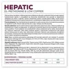 Vetexpert VET EXPERT Veterinary Diet Hepatic Dog - šlapias šunų maistas - 400g