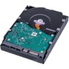 „SanDisk WD Gold 8TB SATA 6Gb/s 3,5 colio kietasis diskas