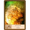 Watkins Publishing The Shaman’s Oracle Kortos