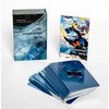 Weiser Books The Uncommon Tarot Kortos