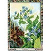 KNYGA Welbeck Publishing The Druid Plant Oracle Kortos