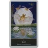 Welbeck Publishing The Witches Oracle Kortos