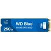 Western Digital Mėlyna SA510 250GB M.2 SSD