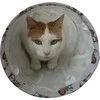 ZOLUX Chatouille Tunnel Cats and Mice Pattern - cat toy - 100cm