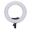 Žiedinis LED šviestuvas Nanlite Ringlight Halo 18