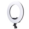 Žiedinis LED šviestuvas Nanlite Ringlight Halo 18