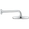 Grohe Tempesta 210 dušo galva 9,5 l/min, chromas