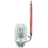 Imi Hydronic Termostatinė galva Heimeier, K 20-50 2m