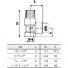 Watts Industries Apsauginis vožtuvas1/2" 6bar (10004703)