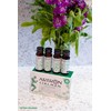 Maisto papildas Gold Collagen ARTRON