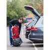 Krepšys nešynei LittleLife Child Carrier Transporter Bag