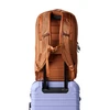 Kuprinė Cotopaxi Allpa 26L Daypack - Samaninė