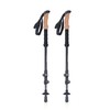 Trekingo lazdos Lifesystems Carbon Fibre Trekking Poles