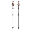 Trekingo lazdos Lifesystems Carbon Fibre Trekking Poles