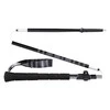 Trekingo lazdos Poles Viking Kettera Pro Long Grip