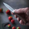 Virtuvinis peilis Opinel Les Forges Paring