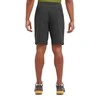 Vyriški šortai Montane Tenacity Shorts - L - Pilka