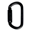 Čekija Singing Rock Steel Oval triple lock juodas plieno karabinas