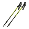 Italija Fizan Explorer lime/pilkas ėjimo lazdos