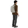JAV Osprey Daylite Plus Driftshade 20 l kuprinė, Wolf Pilkas